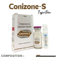 CONIZONE-S