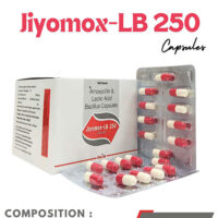 Amoxycillin Trihydrate250mg+Lacto Bacillus