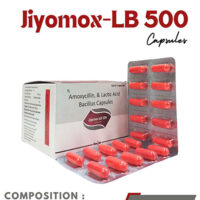 Amoxycillin Trihydrate 500mg+Lacto Bacillus