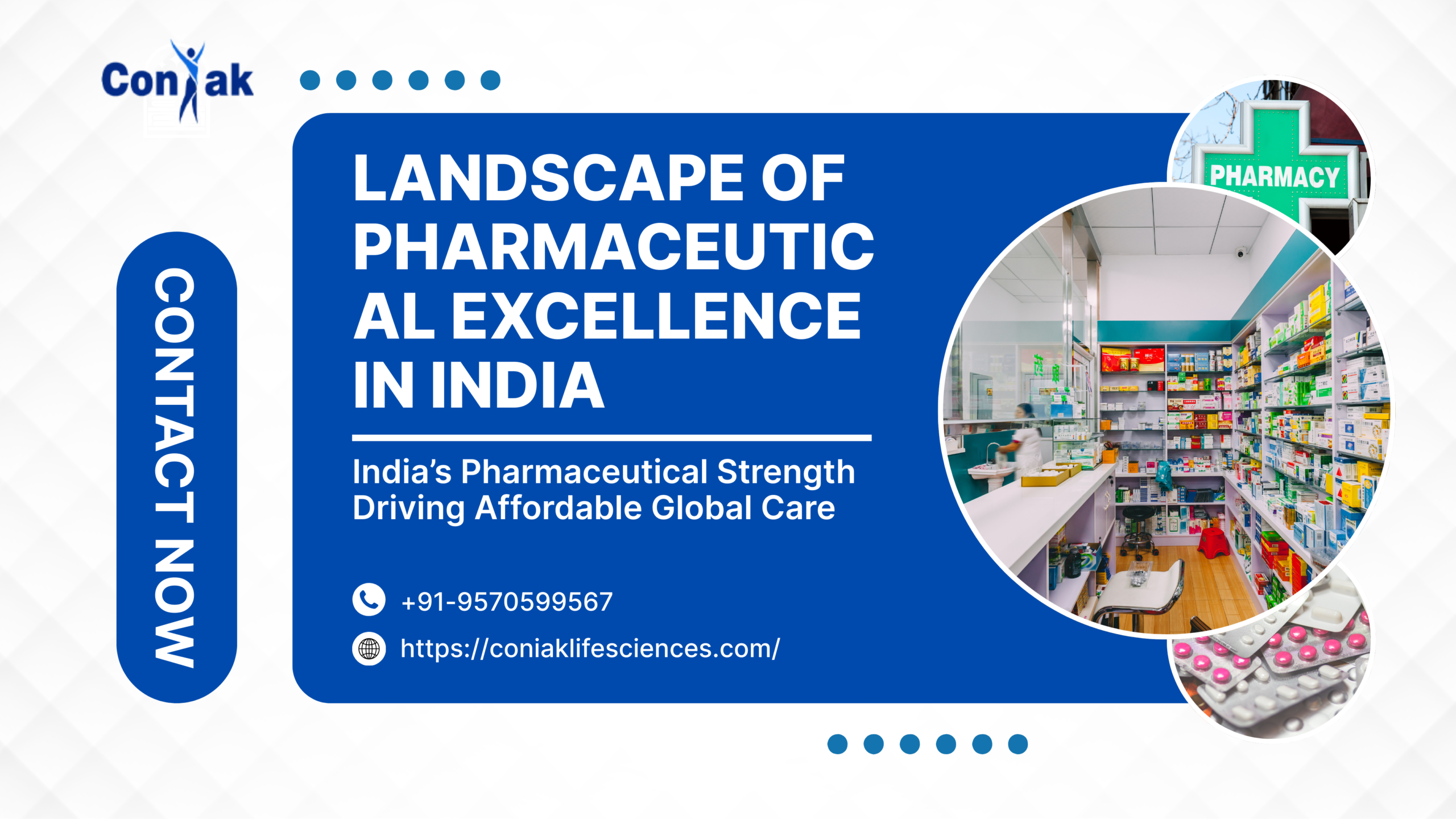 Understanding the Landscape of Pharmaceutical Excellence in India